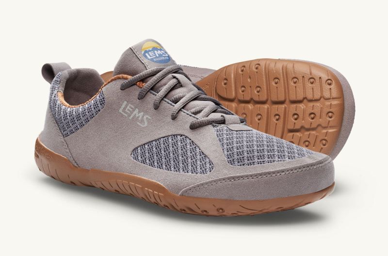 STYLISH OUTLET LEMS | MEN'S PRIMAL 2-Slate
