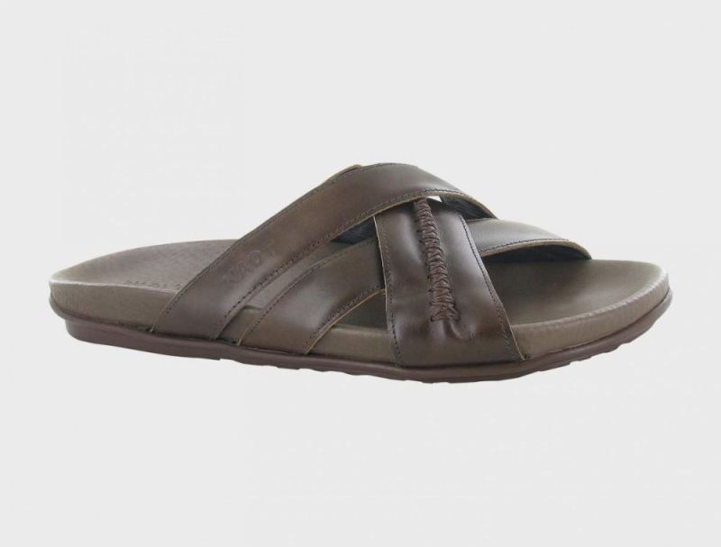 Naot | Anegada-Pecan Brown Lthr