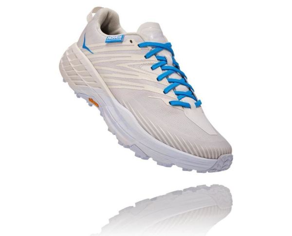 HOKA ONE ONE Hoka X Tint Speedgoat 4 Marshmallow / Cyan Blue