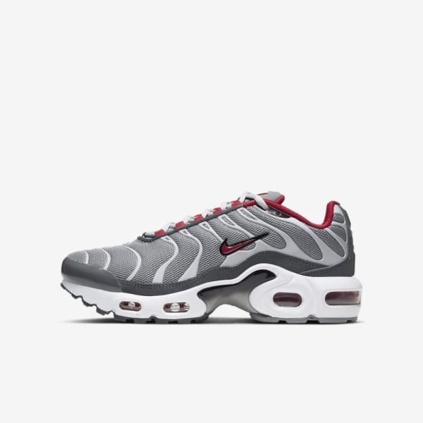 Kids Nike Air Max Plus | Particle Grey / Iron Grey / Grey Fog / University Red