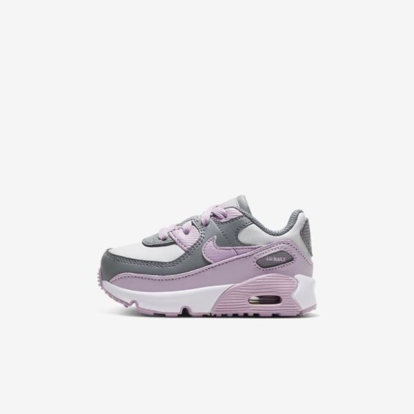 Kids Nike Air Max 90 | Particle Grey / Photon Dust / White / Iced Lilac