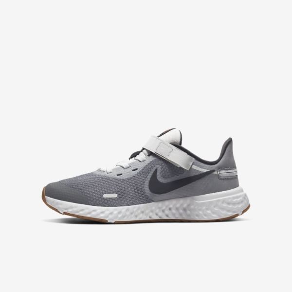 Kids Nike Revolution 5 FlyEase | Light Smoke Grey / Photon Dust / Gum Medium Brown / Dark Smoke Grey